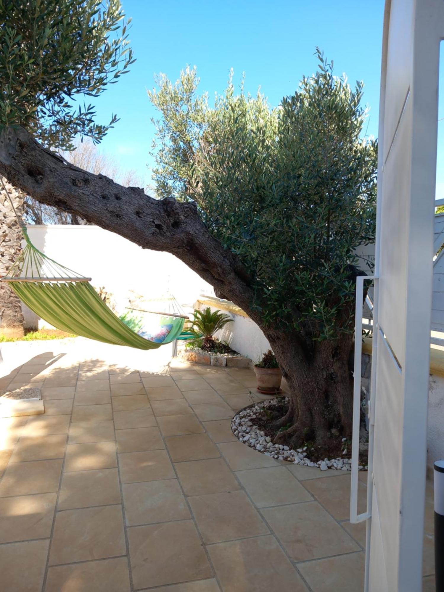 Alessandro House Porto Cesareo Extérieur photo
